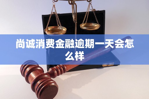 尚诚消费金融逾期一天会怎么样