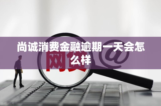 尚诚消费金融逾期一天会怎么样