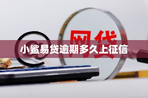 小鲨易贷逾期多久上征信 小鲨易贷逾期多久上征信