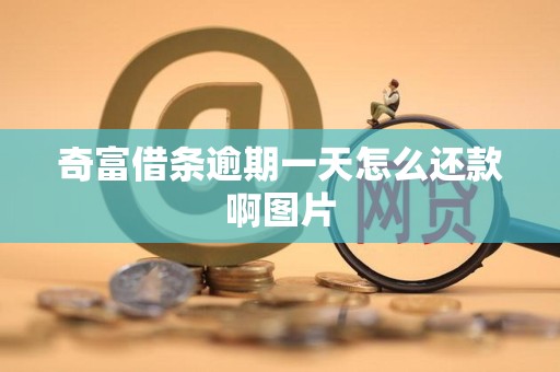 奇富借条逾期一天怎么还款啊图片 奇富借条逾期一天怎么还款啊图片