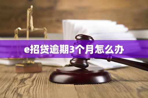 e招贷逾期3个月怎么办