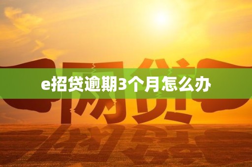 e招贷逾期3个月怎么办