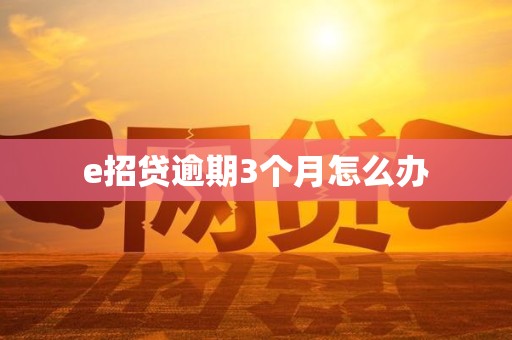 e招贷逾期3个月怎么办