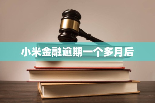 小米金融逾期一个多月后