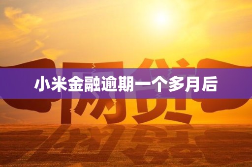 小米金融逾期一个多月后
