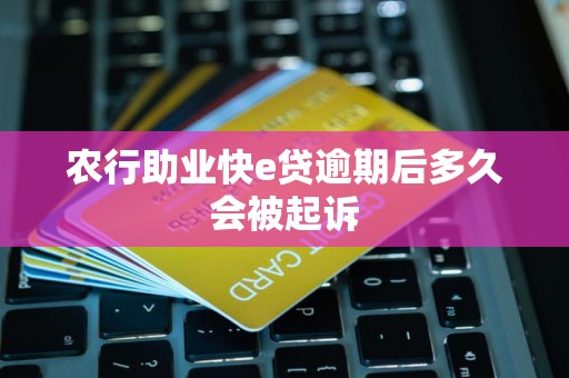 农行助业快e贷逾期后多久会被起诉