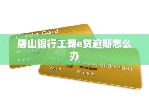 唐山银行工薪e贷逾期怎么办
