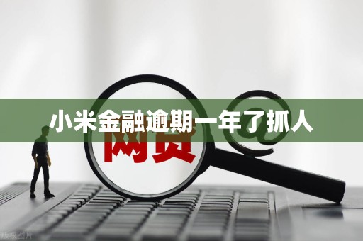 小米金融逾期一年了抓人