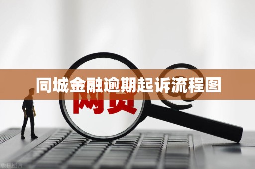 同城金融逾期起诉流程图