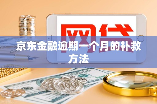 京东金融逾期一个月的补救方法