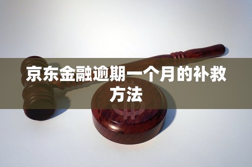 京东金融逾期一个月的补救方法