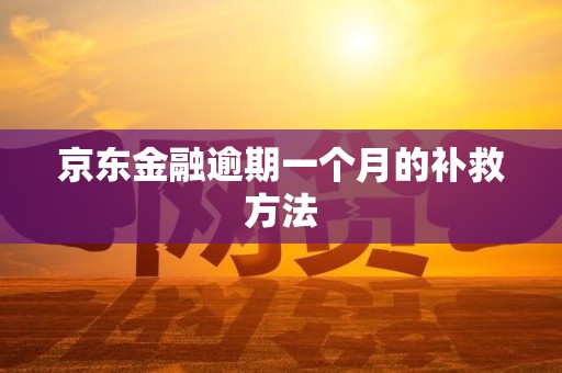 京东金融逾期一个月的补救方法