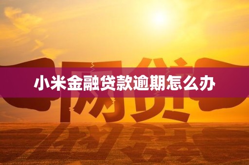 小米金融贷款逾期怎么办