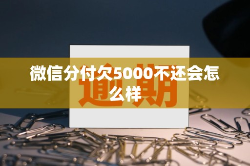 微信分付欠5000不还会怎么样