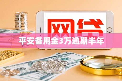 平安备用金3万逾期半年