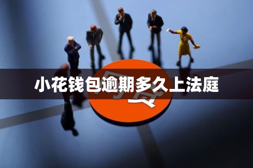 小花钱包逾期多久上法庭