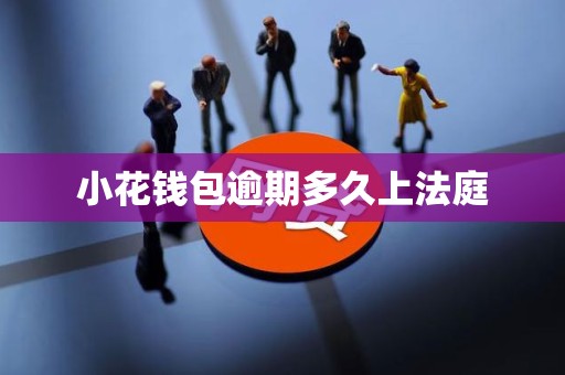 小花钱包逾期多久上法庭