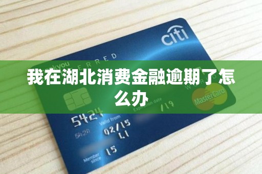 我在湖北消费金融逾期了怎么办 我在湖北消费金融逾期了怎么办