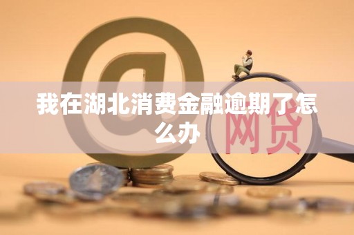 我在湖北消费金融逾期了怎么办 我在湖北消费金融逾期了怎么办