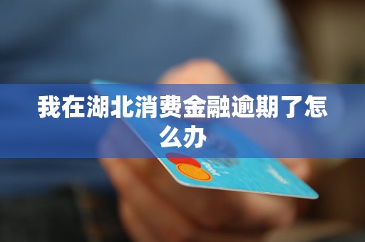 我在湖北消费金融逾期了怎么办 我在湖北消费金融逾期了怎么办
