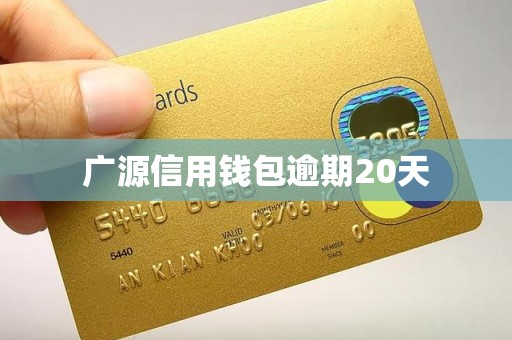 广源信用钱包逾期20天