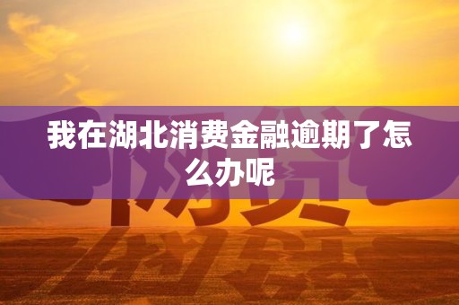 我在湖北消费金融逾期了怎么办呢