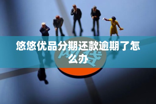 悠悠优品分期还款逾期了怎么办 悠悠优品分期还款逾期了怎么办