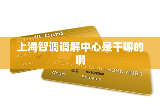 上海智调调解中心是干嘛的啊