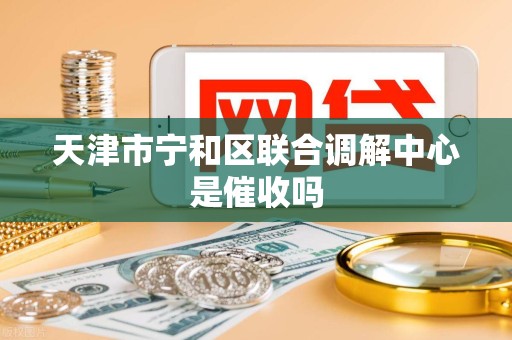 天津市宁和区联合调解中心是催收吗