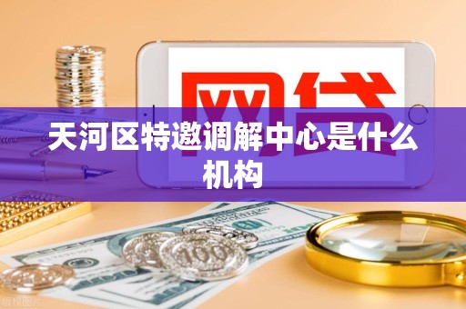 天河区特邀调解中心是什么机构