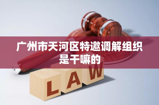 广州市天河区特邀调解组织是干嘛的