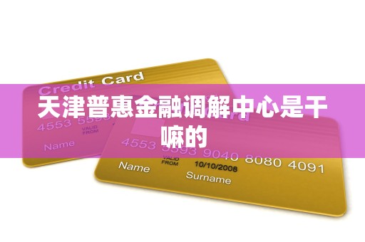 天津普惠金融调解中心是干嘛的