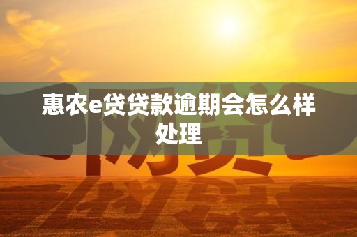 惠农e贷贷款逾期会怎么样处理