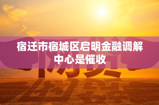 宿迁市宿城区启明金融调解中心是催收 宿迁市宿城区启明金融调解中心是催收
