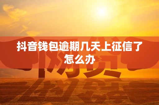 抖音钱包逾期几天上征信了怎么办