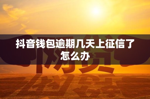 抖音钱包逾期几天上征信了怎么办 抖音钱包逾期几天上征信了怎么办