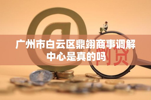 广州市白云区鼎翊商事调解中心是真的吗