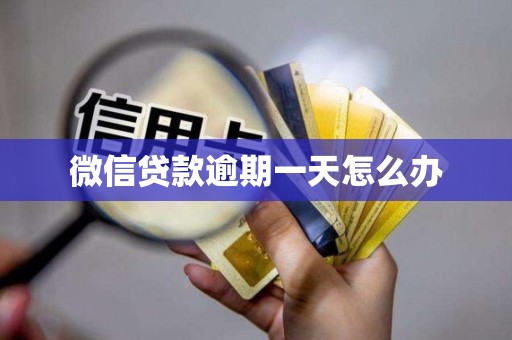 微信贷款逾期一天怎么办
