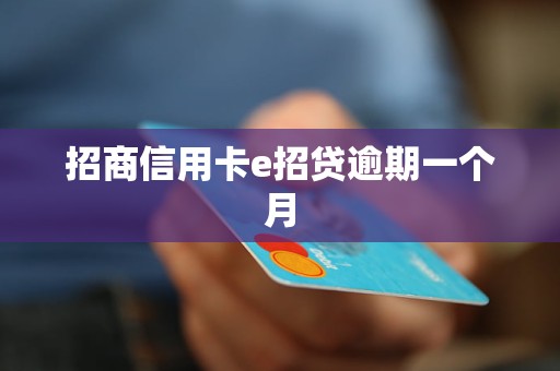 招商信用卡e招贷逾期一个月