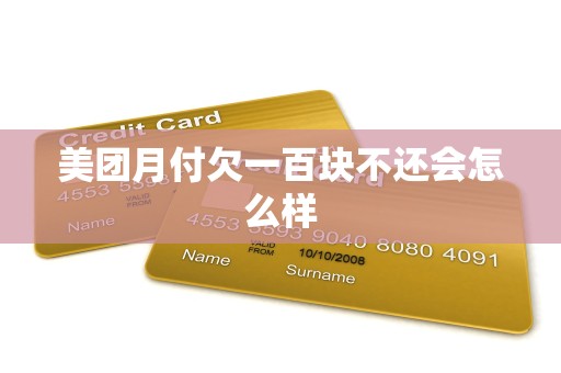 美团月付欠一百块不还会怎么样