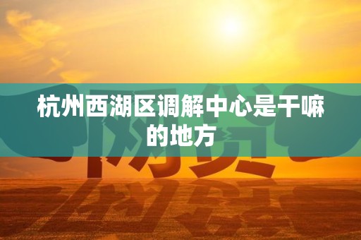 杭州西湖区调解中心是干嘛的地方