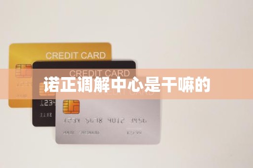 诺正调解中心是干嘛的 诺正调解中心是干嘛的
