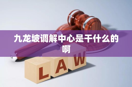 九龙坡调解中心是干什么的啊
