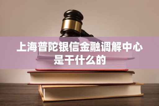 上海普陀银信金融调解中心是干什么的