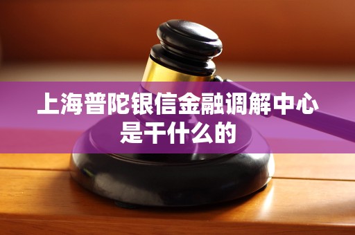 上海普陀银信金融调解中心是干什么的