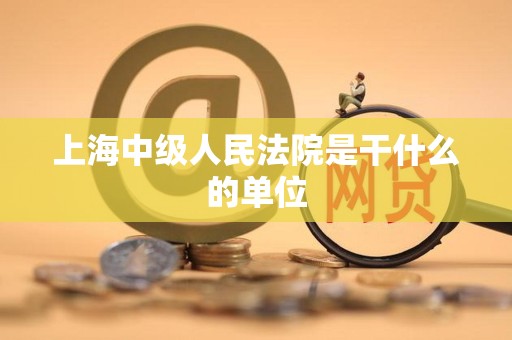 上海中级人民法院是干什么的单位