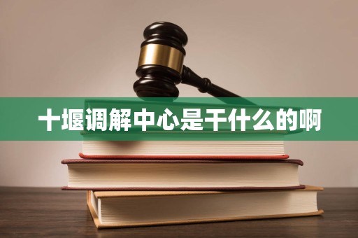 十堰调解中心是干什么的啊