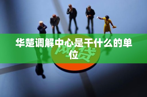 华楚调解中心是干什么的单位
