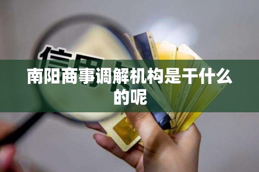 南阳商事调解机构是干什么的呢