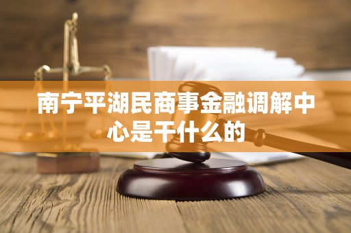 南宁平湖民商事金融调解中心是干什么的